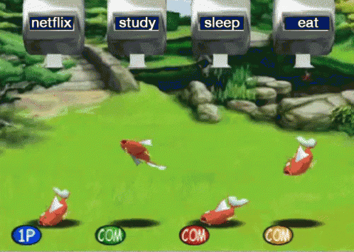 a video game that says netflix study and sleep