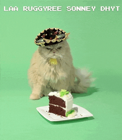 a cat wearing a sombrero sits next to a slice of cake