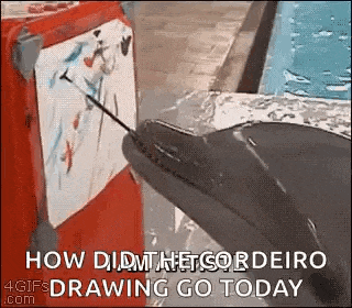a dolphin is pointing at a drawing on a red box .