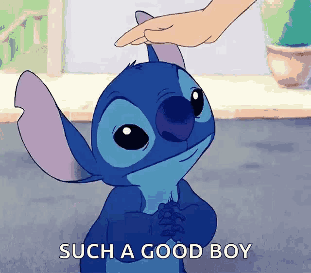 a person petting stitch 's head with the words such a good boy below