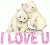 Bear I Love You GIF - Bear I Love You GIFs