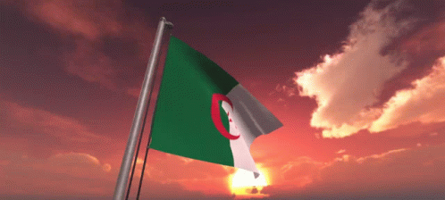 Algeria Flag GIF - Algeria Flag GIFs