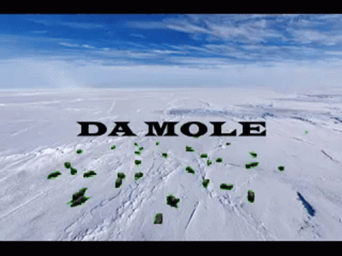 The Mole Mol GIF - The Mole Mol De Mol GIFs