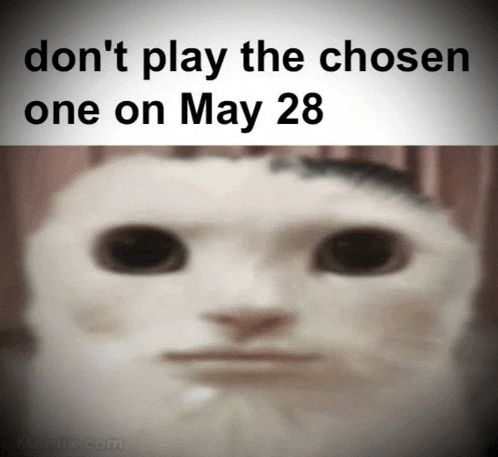 a blurred image of a cat with the words " do n't play the chosen one on may 28 " below it