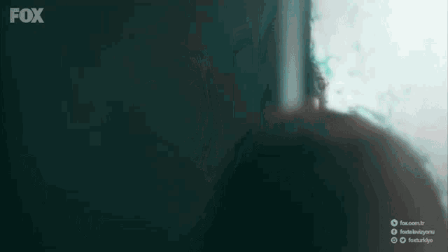 Eybur Burey GIF