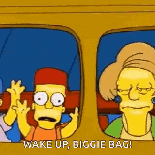 bart simpson is giving the middle finger while sitting in a bus .