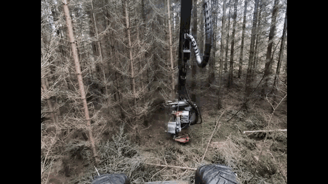 Log Max5000d Forest Machine GIF - Log Max5000d Forest Machine GIFs