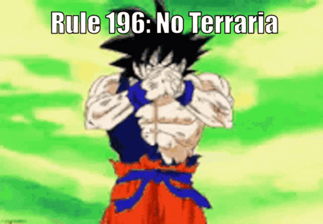 a picture of a cartoon character with the words rule 196 no terraria