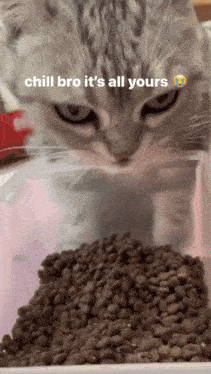 All Yours Chill Bro GIF - All Yours Chill Bro Chill GIFs