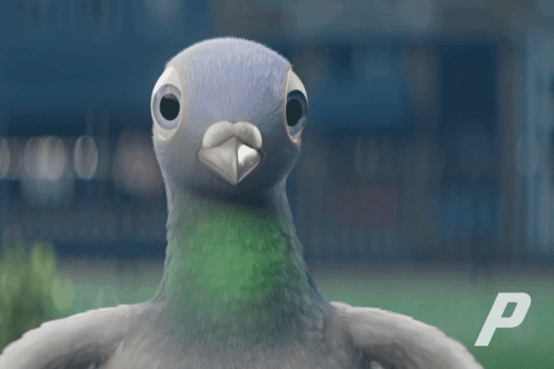 Hey There Hello GIF - Hey There Hello Pigeons GIFs