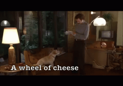 I'M Not Even Mad, That'S Amazing GIF - Anchorman Will Ferrell Dog GIFs
