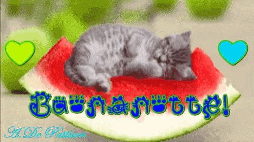 a cat is sleeping on a slice of watermelon with the words buonanotte written on it