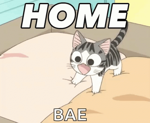 Home Cat GIF - Home Cat Happy GIFs