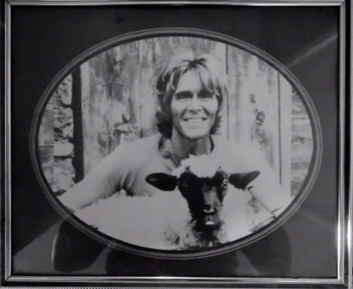 Billy Fury With His Sheep GIF - Billy Fury With His Sheep GIFs