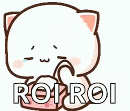 a cute cartoon cat is giving a thumbs up and the word roi is written below it .