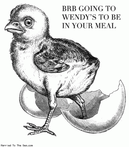 Wendys Chicken GIF - Wendys Chicken GIFs