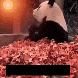 a panda bear is sitting in a pile of leaves .