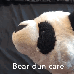 Bear Dun Care GIF - Bear Dun Care GIFs