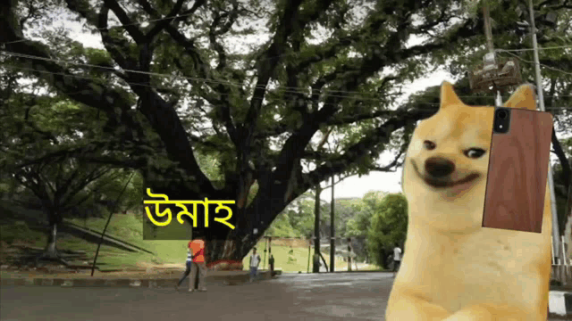 a dog holding a cell phone in front of a tree with the word umah on the bottom