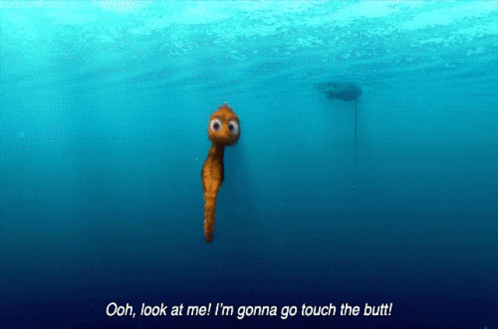 Touch The Butt Finding Nemo GIF - Touch The Butt Finding Nemo Seahorse GIFs
