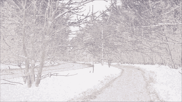 Snowing GIF - Snowing GIFs
