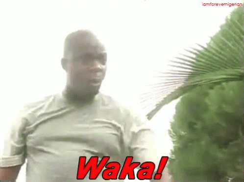 Waka You GIF - Waka You Nigerian GIFs