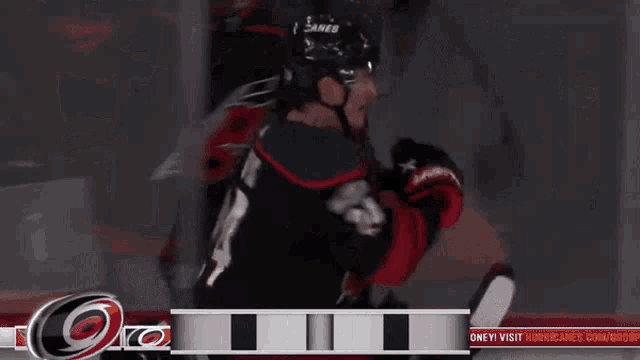 a hockey player celebrates a hurricanes goal