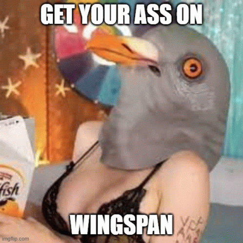 Bird Wingspan GIF - Bird Wingspan Meme GIFs
