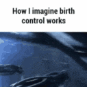 how i imagine birth control works is a gif of a whale swimming in the ocean .