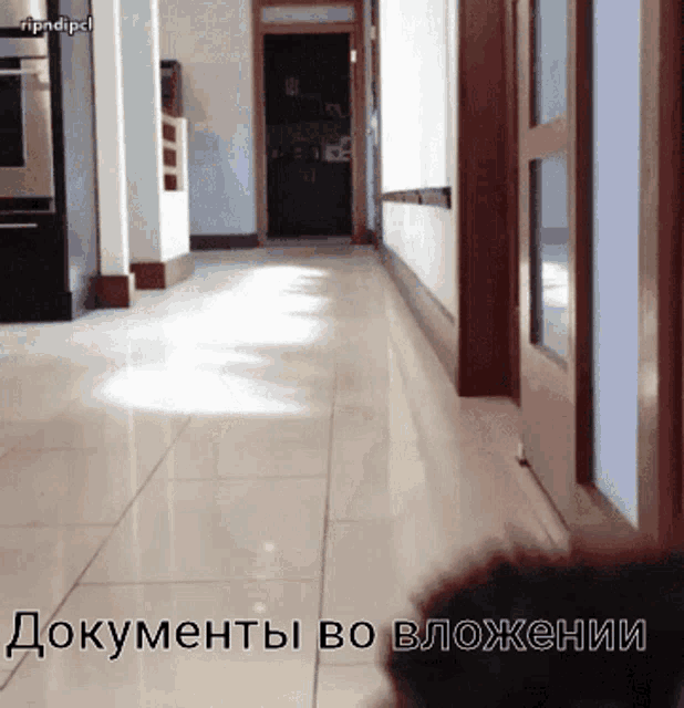 a picture of a hallway with the words " документы во вложении " on it