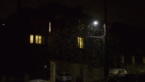 Snow Snowing GIF - Snow Snowing Its GIFs