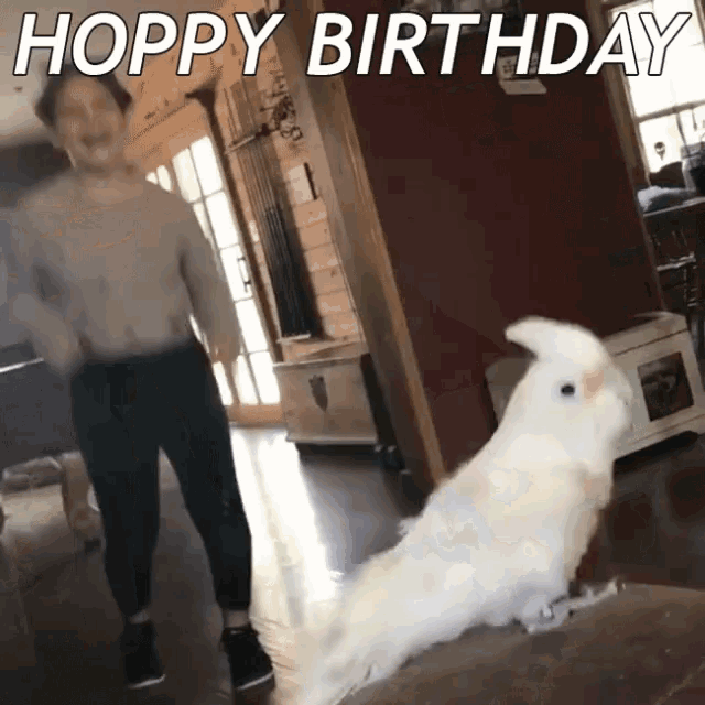 Hoppy Birthday Happy Birthday GIF - Hoppy Birthday Happy Birthday Happy Birdday GIFs