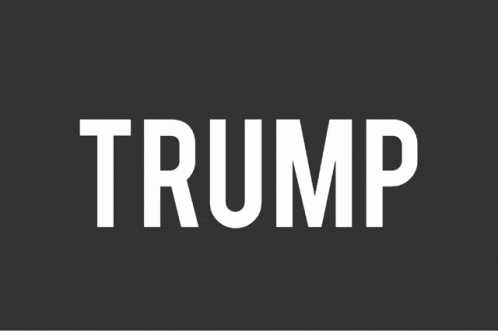 Donald Trump Criminal GIF - Donald Trump Criminal Republican GIFs