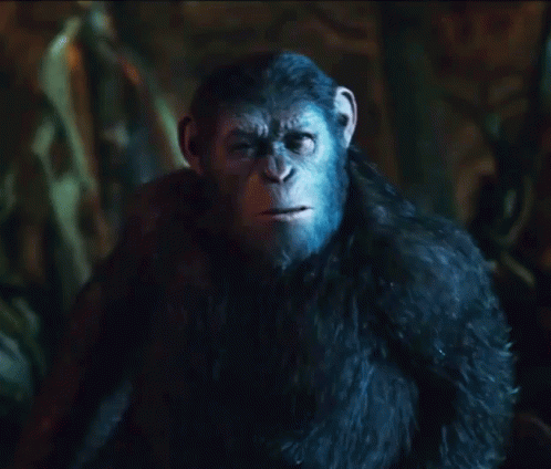 Coming Over GIF - War For The Planet Of The Apes Caesar Andy Serkis GIFs