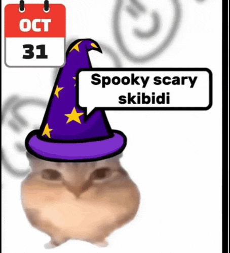 a cat wearing a wizard hat with the words spooky scary skibidi