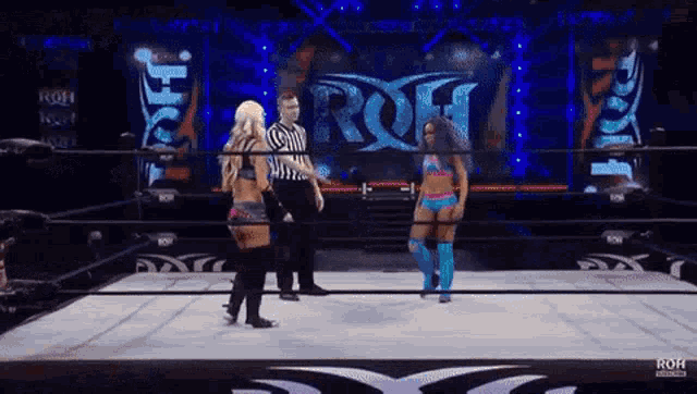 a couple of women are standing in a wrestling ring talking to each other .