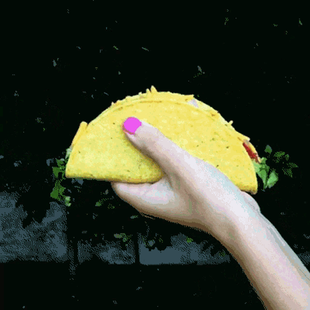 Grab Tacos GIF - Grab Tacos Taco GIFs