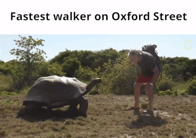 a man standing next to a giant tortoise with the caption fastest walker on oxford street