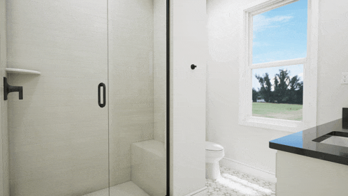 a bathroom with a toilet and a shower with a window