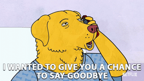 I Wanted To Give You A Chance To Say Goodbye Leaving GIF - I Wanted To Give You A Chance To Say Goodbye Leaving Good Bye GIFs