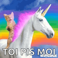Cat Unicorn GIF - Cat Unicorn Rainbow GIFs