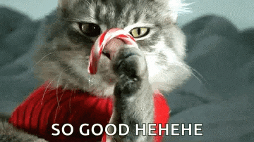 a cat is licking a candy cane with its tongue .
