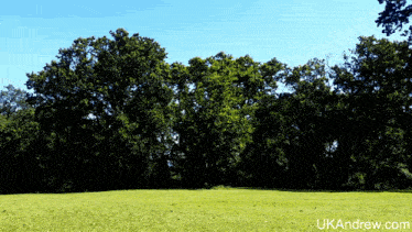 a picture of a field with trees and the website ukandrew.com in the corner