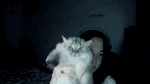 a woman holds a cat in front of her face in a dark room
