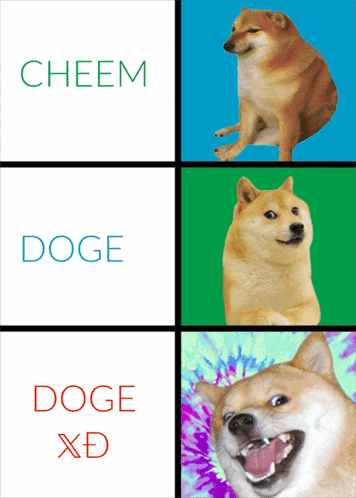 Doge Meme GIF - Doge Meme Dogememe GIFs