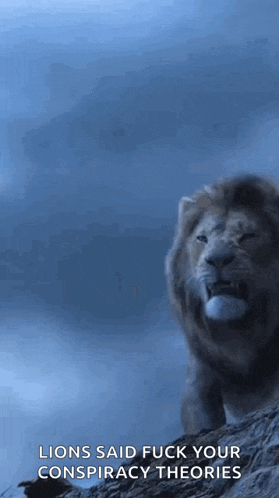 a lion standing on top of a rock with the words lions said fuck your conspiracy theories written below it