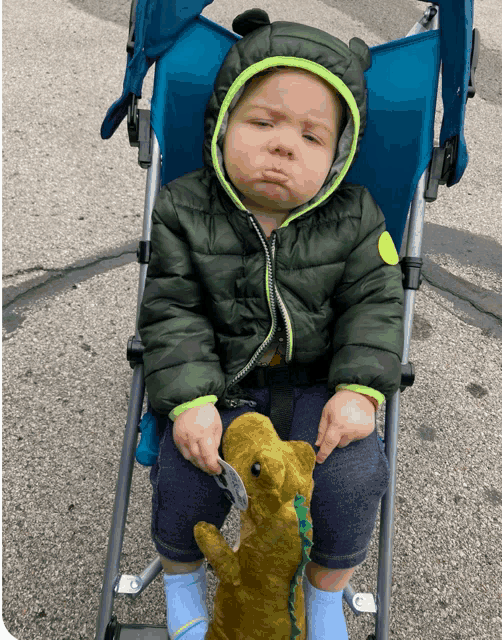a baby is sitting in a blue stroller with a stuffed animal