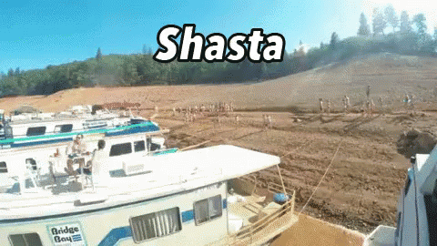 Houseboats, Shasta GIF - Davis Davisgifs Shasta GIFs