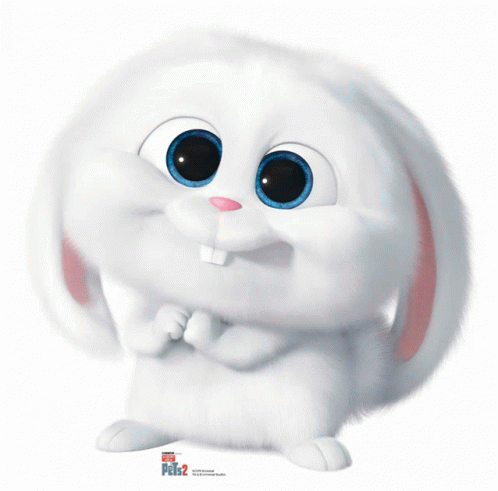 Snowball Bunny GIF - Snowball Bunny GIFs