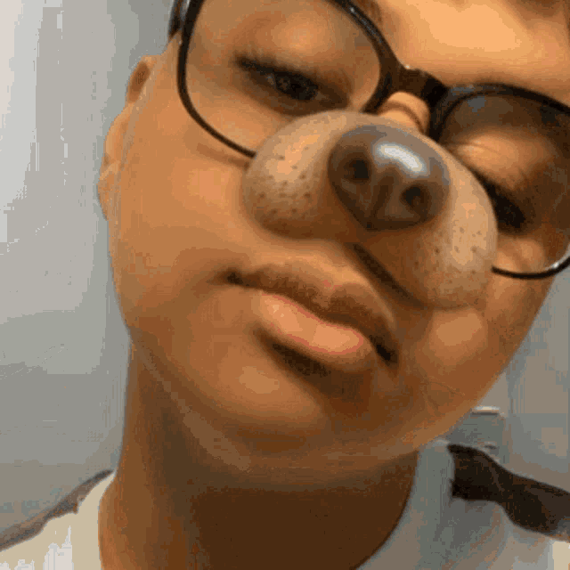 a person wearing glasses and a fake dog nose